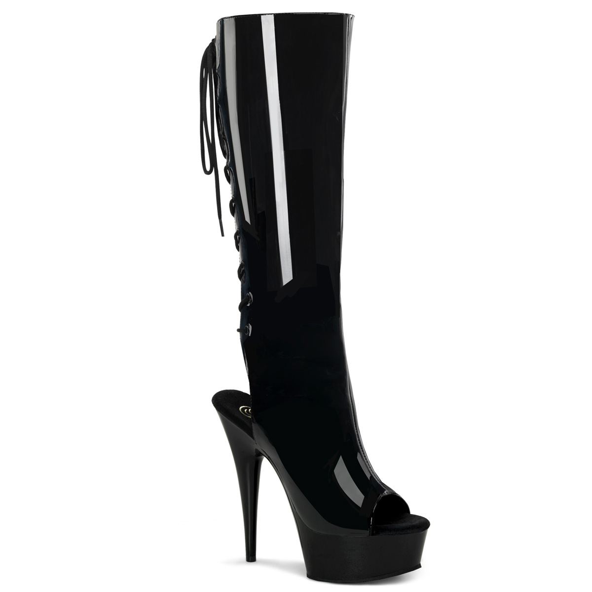 Pleaser SHOES & BOOTS : Platform Shoes : Knee High Boots